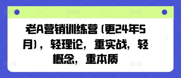 老A营销训练营(更24年12月)，轻理论，重实战，轻概念，重本质-墨韵博客