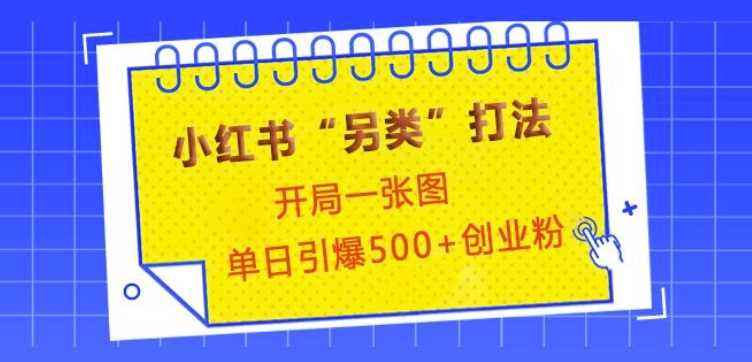 小红书“另类”打法，开局一张图，单日引爆500+精准创业粉【揭秘】-墨韵博客