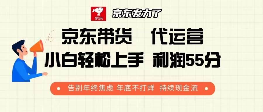 （13833期）京东带货 代运营 利润55分 告别年终焦虑 年底不打烊 持续现金流-墨韵博客