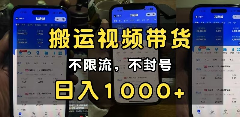 小白必看搬运视频带货玩法，不限流，不封号，纯自然流，日入1000+-墨韵博客