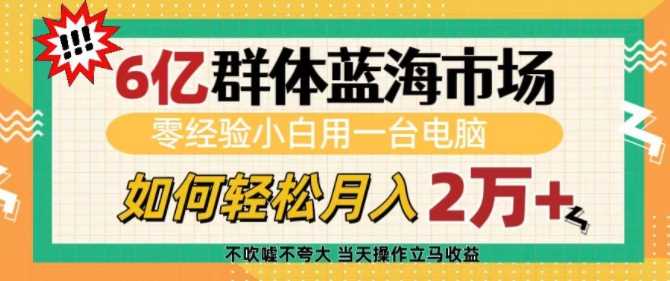 6亿群体蓝海市场，零经验小白用一台电脑，如何轻松月入过w【揭秘】-墨韵博客
