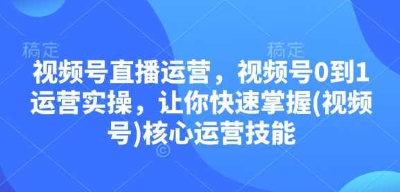 视频号直播运营，视频号0到1运营实操，让你快速掌握(视频号)核心运营技能-墨韵博客