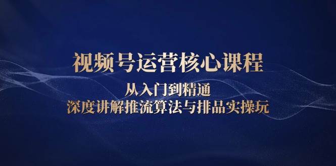 视频号运营核心课程，从入门到精通，深度讲解推流算法与排品实操玩-墨韵博客