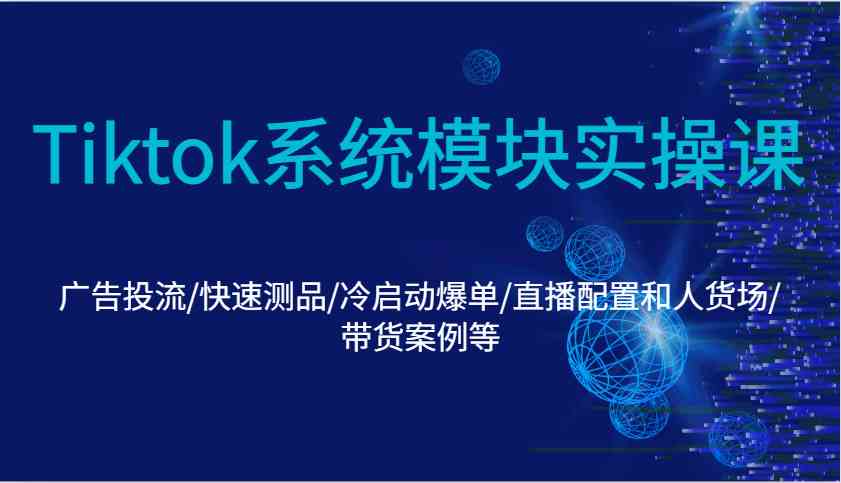 Tiktok系统模块实操课：广告投流/快速测品/冷启动爆单/直播配置和人货场/带货案例等-墨韵博客