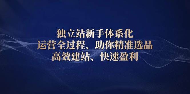 （13914期）独立站新手体系化 运营全过程，助你精准选品、高效建站、快速盈利-墨韵博客