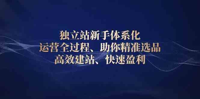独立站新手体系化 运营全过程，助你精准选品、高效建站、快速盈利-墨韵博客