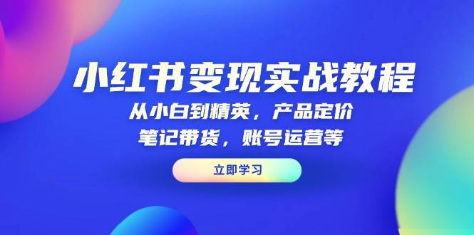 小红书变现实战教程：从小白到精英，产品定价，笔记带货，账号运营等-墨韵博客