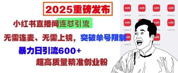 2025重磅发布：小红书直播间连怼引流，无需连麦、无需上镜，突破单号限制，暴力日引流600+-墨韵博客