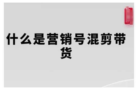 营销号混剪带货，从内容创作到流量变现的全流程，教你用营销号形式做混剪带货-墨韵博客