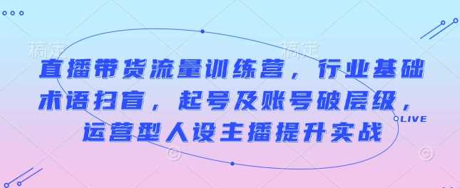 直播带货流量训练营，行业基础术语扫盲，起号及账号破层级，运营型人设主播提升实战-墨韵博客