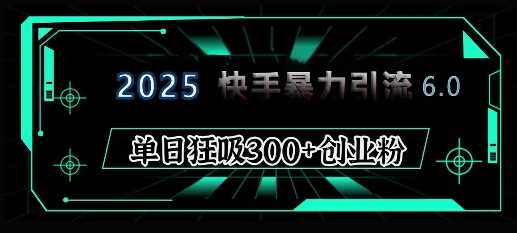 2025年快手6.0保姆级教程震撼来袭，单日狂吸300+精准创业粉-墨韵博客