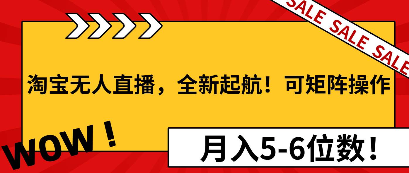 （13946期）淘宝无人直播，全新起航！可矩阵操作，月入5-6位数！-墨韵博客