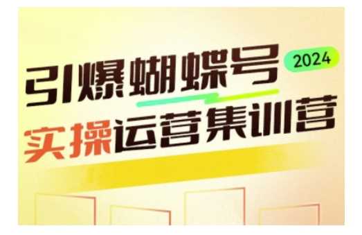 引爆蝴蝶号实操运营，助力你深度掌握蝴蝶号运营，实现高效实操，开启流量变现之路-墨韵博客
