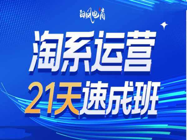 淘系运营21天速成班35期，年前最后一波和2025方向-墨韵博客
